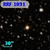 RRF 1091