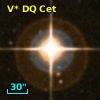 V* DQ Cet