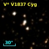 V* V1837 Cyg