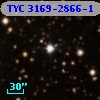 TYC 3169-2866-1
