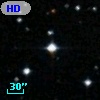 HD 359081