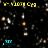 V* V1878 Cyg