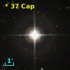 *  37 Cap