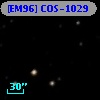 [EM96] COS-1029