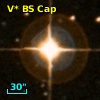 V* BS Cap