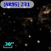 [AR95] 231