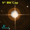 V* BW Cap