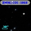 [EM96] COS-1060