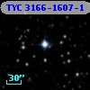 TYC 3166-1607-1