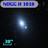 NOGG H 1010