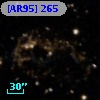 [AR95] 265