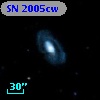 SN 2005cw