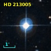 HD 213005