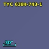 TYC 6384-743-1