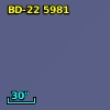BD-22  5981