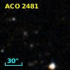 ACO  2481