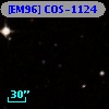 [EM96] COS-1124