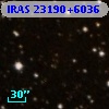IRAS 23190+6036