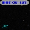 [EM96] COS-1163