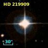 HD 219909
