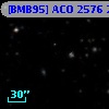 [BMB95] ACO 2576 23