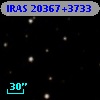 IRAS 20367+3733