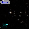 Ross  234