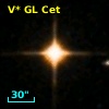 CD-25    44