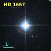 HD   1667