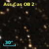 Ass Cas OB   2-