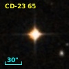 CD-23    65
