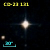 CD-23   131