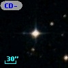 CD-23   155