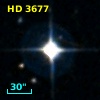 HD   3677