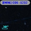 [EM96] COS-1232