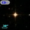 CD-24   533