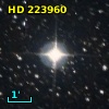 HD 223960