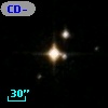 CD-23   535