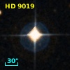 HD   9019