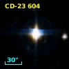 CD-23   604