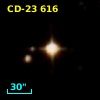 CD-23   616