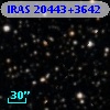 IRAS 20443+3642
