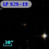 LP  828-19