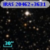 IRAS 20462+3631