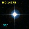 HD  14175