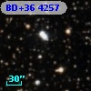 BD+36  4257