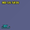 BD-16  5836