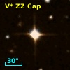 V* ZZ Cap