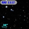 RRF 1117