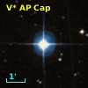 V* AP Cap